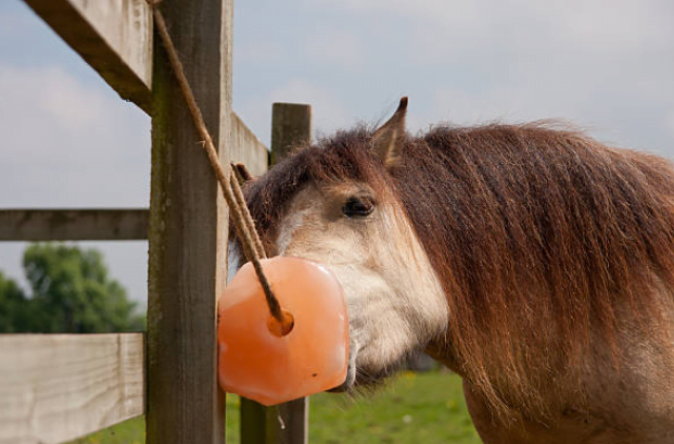 natural lick salt block